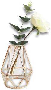 ԕr  S[h KX ֑} k t[x[X ǉԕr 䟭   CeA KXx[X (S[h, i15cmj)