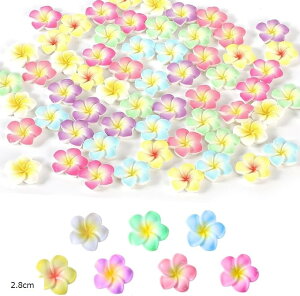 �f�R�p�[�c �v�������A 7�F 70�Z�b�g ���W�� �� �r�[�Y �l�C���p�[�c (2.8cm)