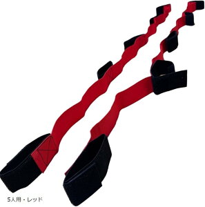 ނ [v Jf  p ^ NG[V e[v (5lpEbh)