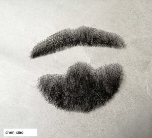 �t���E �Ђ� ���E �l�� 1�� chen xiao