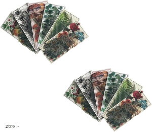 {^jJ XebJ[ V[ Zbg 蒠 Mtg  L A  h(1Zbg, 2Zbg)
