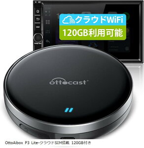 NEhSIM 120GBtOttocast IbgLXg OttoAibox P3 Lite CarPlay A_v^[ Android CarA_v^[ 12f 掋\ LCarPlayԗ(ubN)