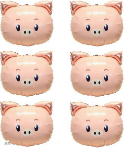 o[ D p[eB[  a A~ 傫 6Zbg (Ԃ)