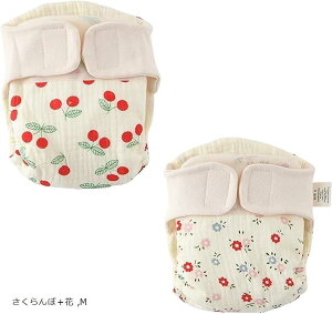 2_Zbg ނJo[ IcJo[ \ pc zނ oYj Mtg ۈ牀 (ځ{, M)