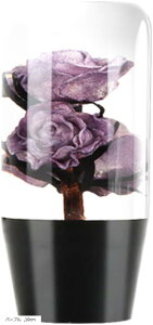 Vtgmu  NX^ ԗp JX^ AT ėp (p[v, 10cm)