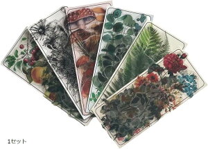 {^jJ XebJ[ V[ Zbg 蒠 Mtg  L A  h(1Zbg, 1Zbg)