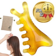【楽天ランキング1位入賞】皮膚科医監修 多機能 かっさ 頭皮 マッサージ カッサ プレート ツボ押し 棒 収…