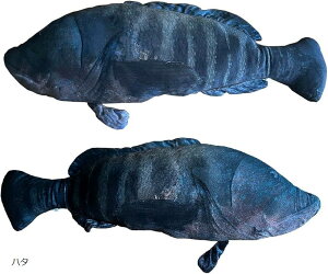 A C̐  BIG  ʂ  O NbV ӂӂ (n^, S80cm)