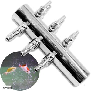  GAou 񕪊 C _f z GA[`[u GA[|v ANAE Mы RbN GA[V (Vo[, 6A)