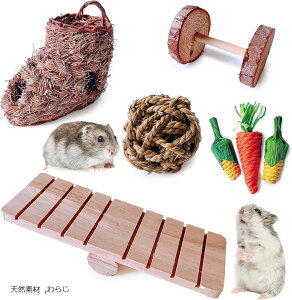 nX^[ ؐ  5_ Zbg  {[ [[  ^  m ߋ(VRf, 炶)