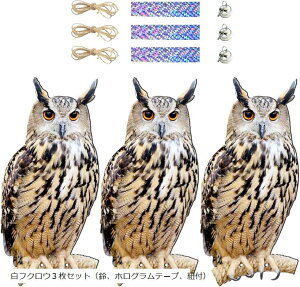 悯 h 悯ObY Q΍ObY ݂艺 悯 JX x_ ʎ ƒ؉  b (tNE3ZbgiAzOe[vA)