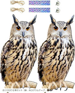 悯 h 悯ObY Q΍ObY ݂艺 悯 JX x_ ʎ ƒ؉  b (tNE2ZbgiAzOe[vA)