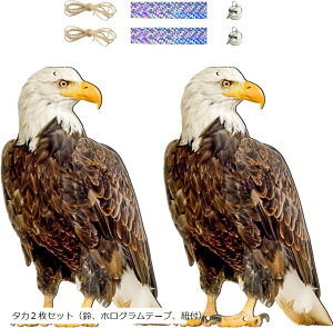 悯 h 悯ObY Q΍ObY ݂艺 悯 JX x_ ʎ ƒ؉  b(^J2ZbgiAzOe[vARtj)