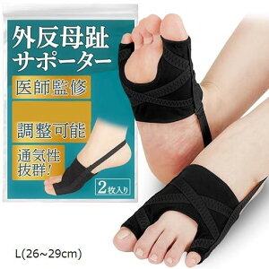 yyVLO1ʓ܁zOT|[^[ tďCET|[^[ 5iKtbNt wLZt`FbNV[g ZtPAKCht 2 ubN (L(26`29cm))