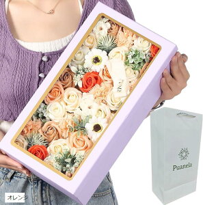 \[vt[ t[{bNX a v[g ̓ ސE hV̓  ܕt(IW, )