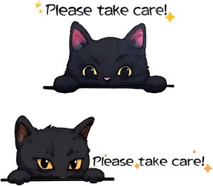 ԗp L XebJ[ 2Zbg oCN LfUC h please take care oCNΉ bZ[WV[ OOK PVCf (zCg)