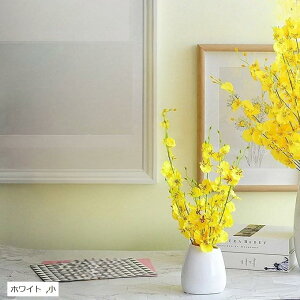 ԕr  Ԋ t[x[X т ԓ Ԃт k Z~bN (zCg, )