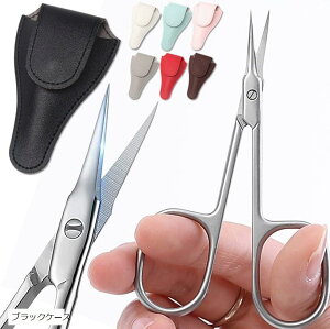 Eɍ׃J[unÔ pܐ؂ ނ؂ Ô؂ Ô珈 (ubNP[X)