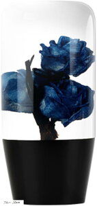 Vtgmu  NX^ ԗp JX^ AT ėp(u[, 10cm)