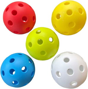 sbN{[ 26  5 FE5  Zbg pickleball K p W[ g[jO (u[ zCg CG[ O[ bh)