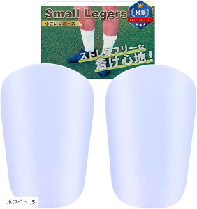 AXeBbNg[i[ K[X TbJ[ WjA VK[h ˂ l K[X (zCg, S)