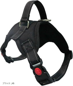 pn[lX ^ ^ p  h~ TCY\ Ԕˍ Ȃ ʋC ȒPE  S p P (ubN, XS)