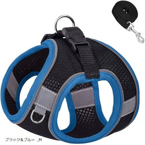  n[lX [hZbg ^ ^ Lp ʋCbV Ȃ y EȒP h~ ˕t  Up 킢  (ubNu[, M)