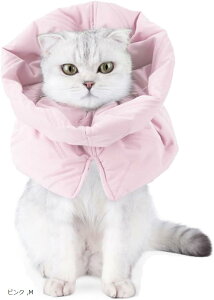 Aj}lbJ[ L \tg GUxXJ[ Lp _炩 (sN, M)