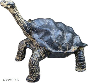 T J NK ^[g u  K[fjO K[f IuWF CeA  I[ig A Mtg((O^[g))