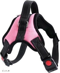 pn[lX ^ ^ p  h~ TCY\ Ԕˍ Ȃ ʋC ȒPE  S p P (sN, M)