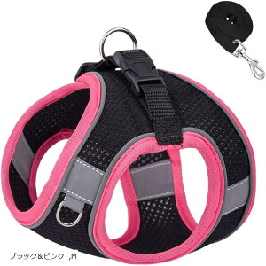  n[lX [hZbg ^ ^ Lp ʋCbV Ȃ y EȒP h~ ˕t  Up 킢  (ubNsN, M)