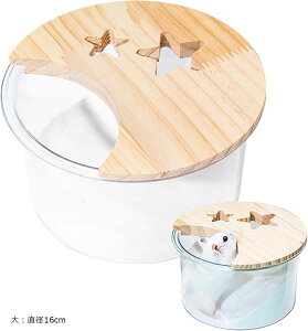 nX^[ gC  T[N P[W 􂢉\ nX^[̉B gCe юUh~݌v fUC (摜Q, Fa16cm)