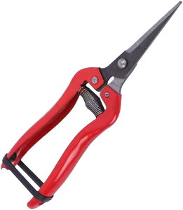 oT~  |p͂ ~ K[fjO }؂ ₷