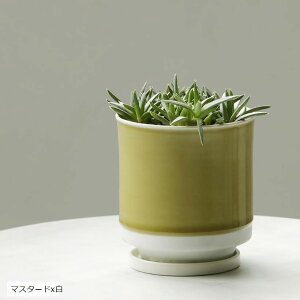 { Aؔ 󂯎Mt 10.5x11.5cm 3.5 g(}X^[hx, 10.5x11.0cm)