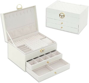 WG[ {bNX ANZT[ P[X Δ [ e U[ t (zCg, (3i)23x17x13.5cm)