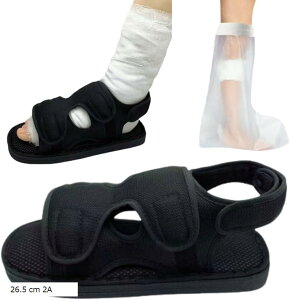   C ܃T_ MvX nr Б Ep \ t (ubN, 26.5 cm 2A)