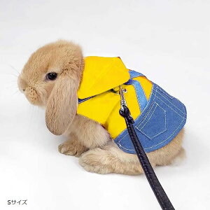 n[lX [h pi  fj bg q p Ď \  Up[h opi qh~ [v ȒPE LOBe  (CG