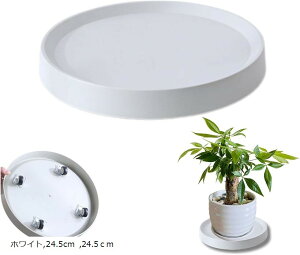 ϗtA  LX^[ Aؔ 󂯎M u v^[X^h ԑ v[g 360°] K[fjO (zCgC24.5cm, 24.5cm)