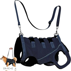 bV n[lX ʋC T|[g s U o ⏕  nr  [h Zbg EȒP ybgpi (ulCr[v, L)