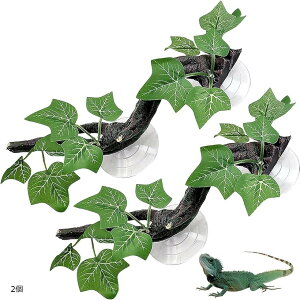 ঒ CAEg  o B I[ig ANAE z gJQ (2, 6 cm)