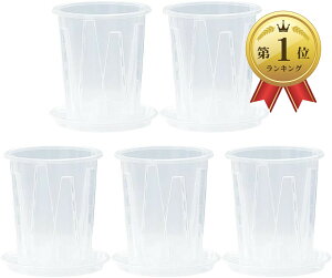 yyVLO1ʓ܁zvX`bN Aؔ Xbg ϗtA  A  NA 5Zbg (NA, 10cm)