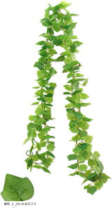 Tierneys tFCNO[ K[h tFCN[t CeA lHϗtA Ǌ| ݂艺  O x_ K[fjO (, 2m jc)