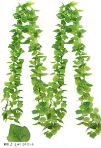 Tierneys tFCNO[ K[h tFCN[t CeA lHϗtA Ǌ| ݂艺  O x_ K[fjO (, 2.4m 2{Zbg)