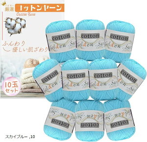 Rbg[  ю 50g 120m 10ʃZbg j҂ ҂ݕ (XJCu[)