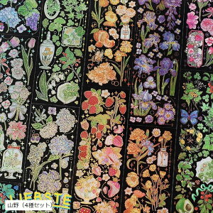 V[ R[Wf XebJ[ lG̉ 蒠fR t  L (Ri4Zbgj)