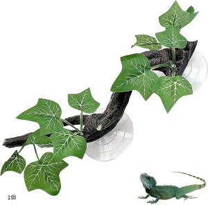 ঒ CAEg  o B I[ig ANAE z gJQ (1)