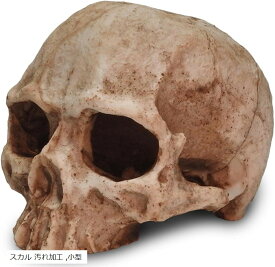 爬虫類 シェルター 隠れ家 小 レオパ テラリウム ドクロ リアル 水槽 オブジェ トカゲ (スカル 汚れ加工, 小型)