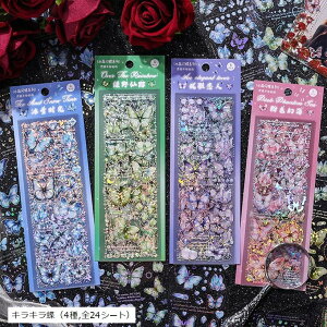 V[ R[Wf XebJ[ lG̉ 蒠fR t  L (LLi4CS24V[gj)