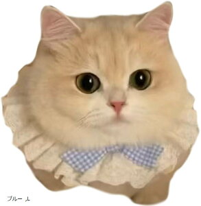 Lp  lN^C y [X(u[, L)