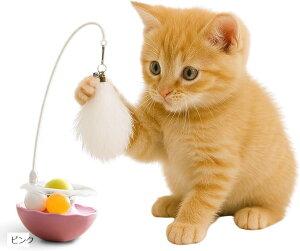 Modern neco 360°邭L炵 ЂƂV Nオ肱ڂ  ܂ы ^ (sN, ^ߋ)